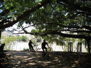Brisbane Biking